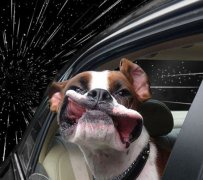 ����㡱��ʦ�ƹ���̫�ո��ٷ�����