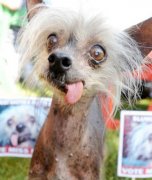 �̵�����������ޱȵĶ���