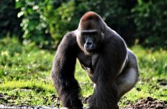 ���أ��̵�������ֶ���֮��