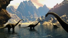 ��δ����������ܻ��������δ����ʱ��