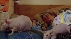 ȫ�򲻿�˼����£���ĸ��ι���