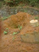 ��ĸ����Ǯδ�� ���Ӿ���