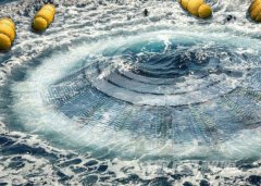 ����˼�飡�����ڲ�������