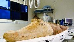 2000��ǰ�Ű�������ľ����