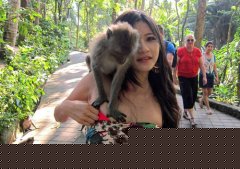 �̵�Ů�ο͵�����˲��