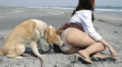 �����Ů���빷�ķ��ٶ�