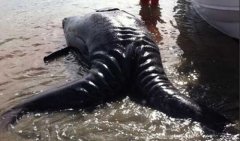 �̵㣺̨����ֵĲ�����