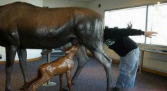 �����¶������������ ������