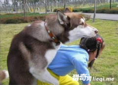 �����񡰲����������������죡