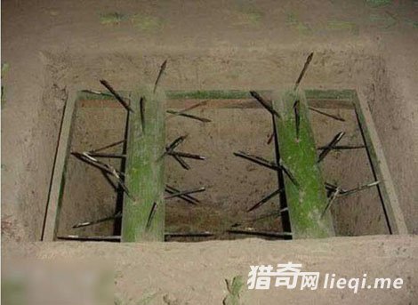 Խսʱ�Ŀֲ����壺ר�Ը�����