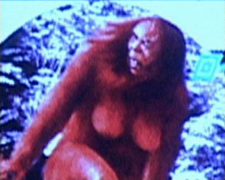 ������Ѯ�Ϻ���ŮҰ����������