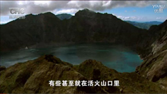 �����з����صġ�ɱ�˺���