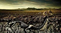 ��ѧ�Ҷ����ܽ��͵�δ��֮�գ�̫�����ˣ�