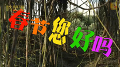 Ⱥ�Ƿ���������������