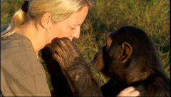 ������������ʵ�����