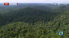 ̽�������Ե���ľ�����