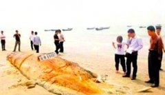 ���أ�1977����ͺ���ʬ���¼�