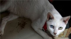 ��������Ĵ���ô������ܿ�����ô��