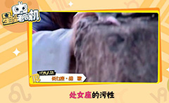 ʮ������˭�����ǻ