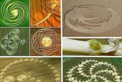 �����˶����磺����4�����͵������Ȧ