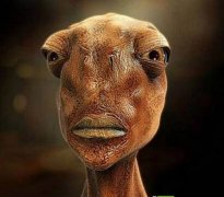 ������������������ˣ�ʬ�徹�ؾ�������