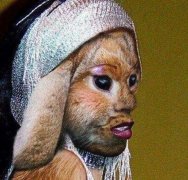 �ؿ�ζ���������ӽ������