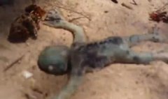 ������������ �������Ǳ���