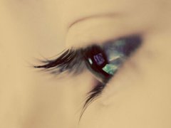 �˵��۾��ֱ������ж�������