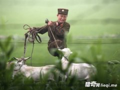 ���ʾ��˵��ճ�������