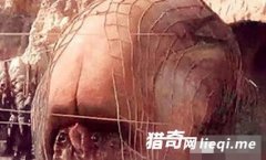 �̵������޽���������� �м���ֱ�ӱ���ɱ