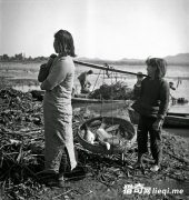 ʮһ���������Ƭ���˼�����ʧ��!