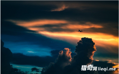 ���ɻ��°���ƽ��������Ʊ�����