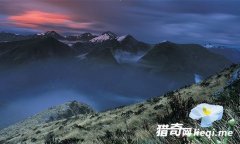 ����Ϊ�����õļ����ط����й�����ط�������û���˸ҵǶ�