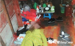 �ֲ���������Ь������һֻ��