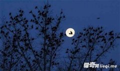 ̽����ʵ��ġ����� ���˻�˯�ͻþ�����ѧ���޷����ͣ�