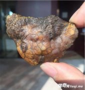 С��Ұ���һ������ʯ��ϸ�������۷�ɵ��!