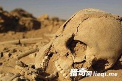 �޲���ɳ����ʲô?��Ⱦ�����ɥʬ̫�ֲ���