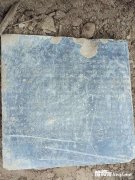 �����ڳ�500��ǰ��Ĺ ʬ��ٷ����