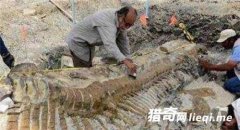 ���ֵ��ڳ���Ĺ ����ǧ������