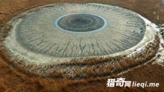 С�﷢��һ�޴��۾� �������亹ֱ����