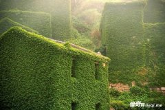 �������������! ����ͯ������