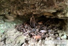 ���Ѽ��һ���ľͷ��ż���������