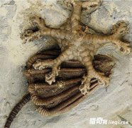 3����ǰ��ʯ���� Ϊ���ֹ黹��