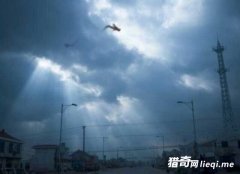 �����������ڣ�������������Ƭ