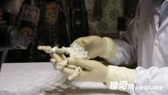 ��³�ųǷ��֡����ش�צ�� ����������