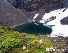 ʬ�Ǳ��:��ϲ�����ţ��˹Ǻ���