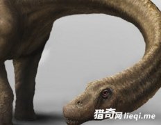 ����̩̹����������֮��