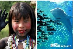 ��������ʧ�ٵ��������߱鲼��ȥ�޻�