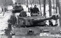 ��ʽ��Ȼ�ܶ����л����