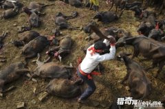 ֱ���Ჴ�����µļ�����30������������ɱ������Ҳ��̶�